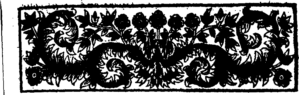 019/019800290000040_1.png
