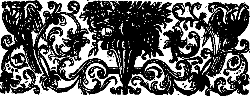 019/019810010000050_0.png