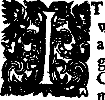 019/019810020000040_0.png