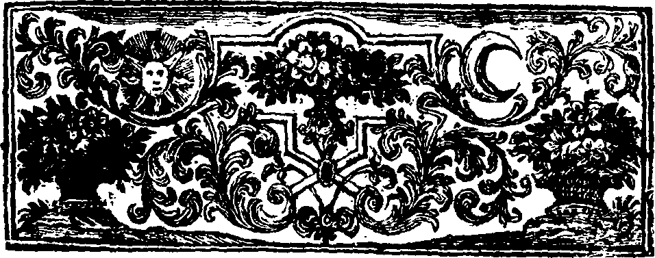 019/019810040000120_1.png