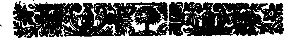 019/019810100000020_1.png