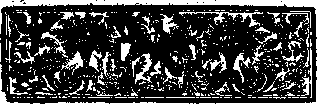 019/019850050000020_1.png