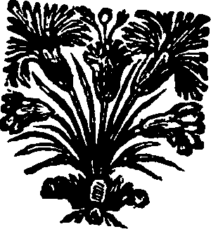 019/019850060000020_0.png