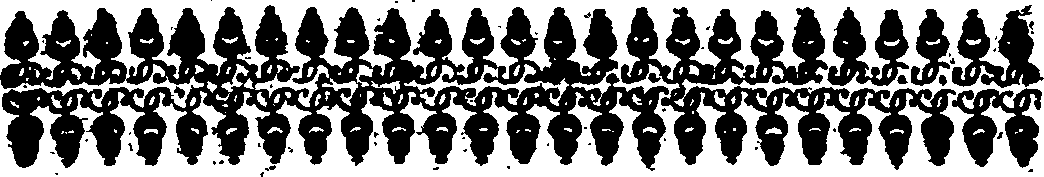 019/019860120000620_1.png
