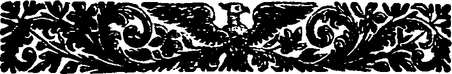 019/019910080202410_0.png