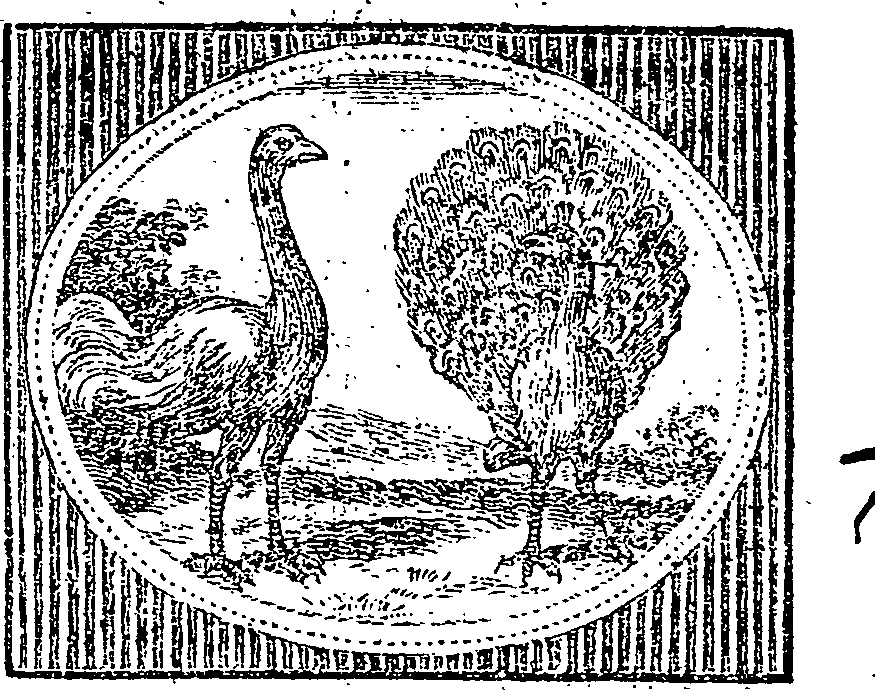 019/019930100001700_0.png