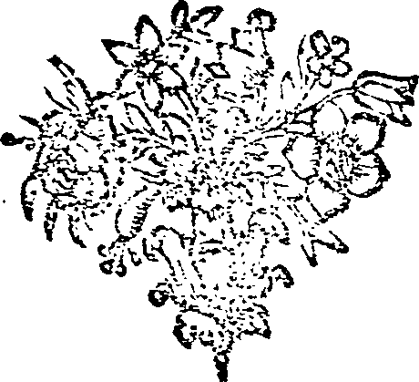 020/020010030002150_0.png