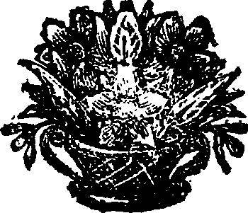 020/020290120000060_0.png