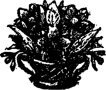 020/020290120000900_0.png