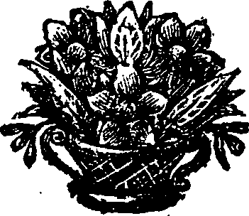 020/020290120001160_0.png