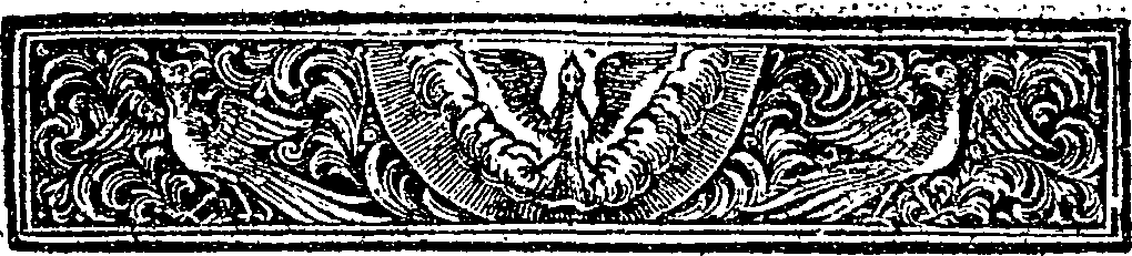 020/020450060000030_1.png