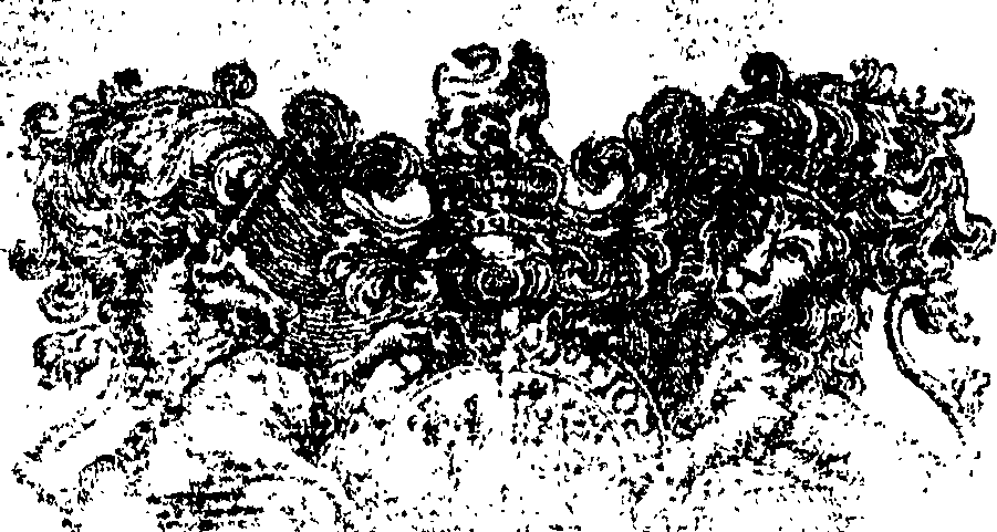 020/020520020000020_2.png