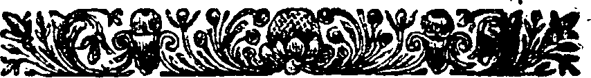 020/020640020000020_1.png