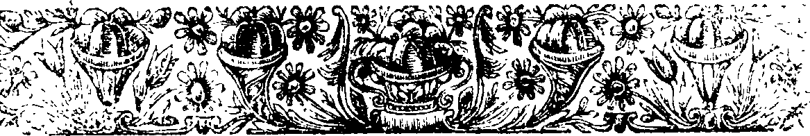 020/020680220000010_1.png