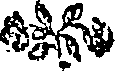 020/020690010200170_0.png