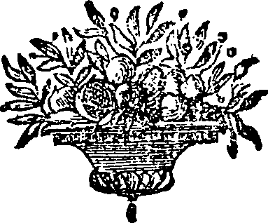 020/020720060101460_0.png