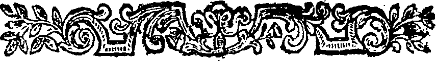 020/020770010302920_1.png