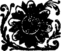 020/020920050000010_0.png