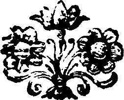 020/020920050000510_0.png