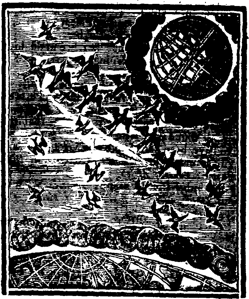 020/020960210000010_0.png