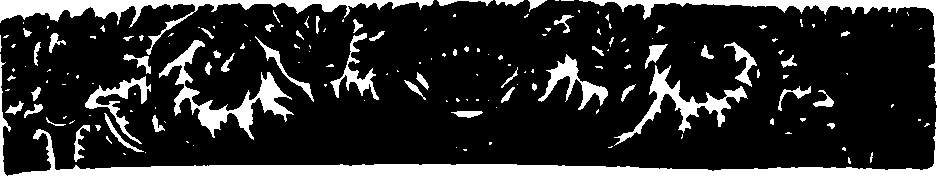 020/020980240000020_0.png