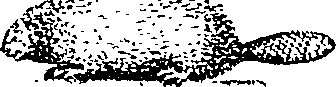021/021040050000020_1.png