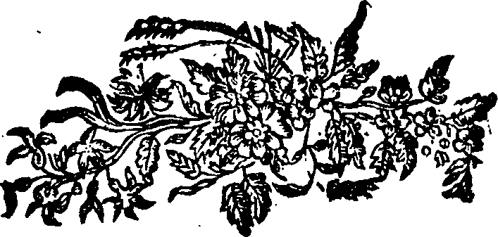 021/021100210000010_1.png