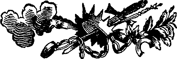 021/021220050000150_0.png