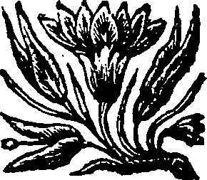 021/021250130000350_0.png