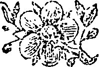 021/021430070000650_0.png