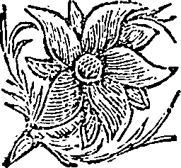 021/021430070002360_0.png