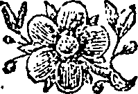 021/021430070002390_0.png