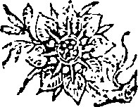 021/021430070002570_0.png