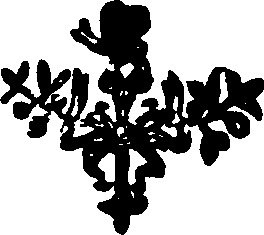 021/021520060000480_0.png