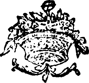 021/021520060000800_0.png