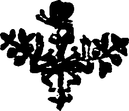 021/021520060000830_0.png