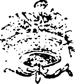 021/021520060000970_0.png