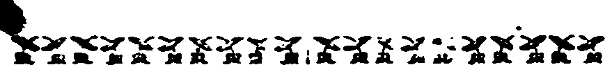 021/021520060001110_0.png