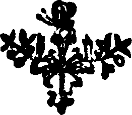 021/021520060001860_0.png