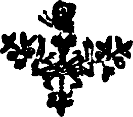 021/021520060002090_0.png
