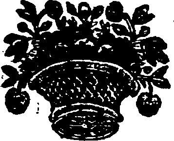 021/021670070000290_0.png