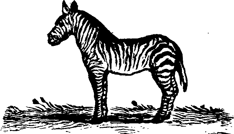 021/021910070100360_0.png