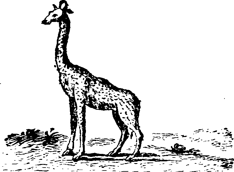 021/021910070100610_0.png
