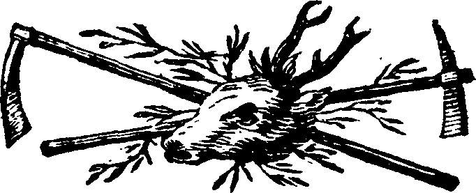 021/021910070100680_0.png