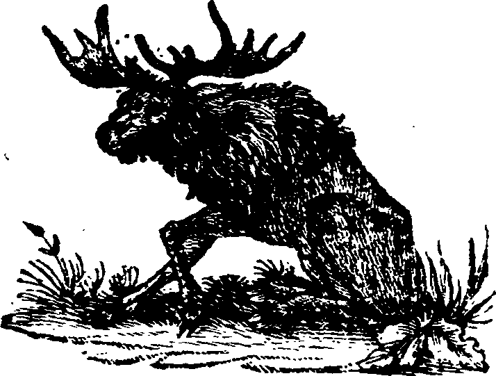 021/021910070100690_0.png