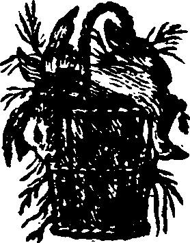 021/021910070100770_0.png