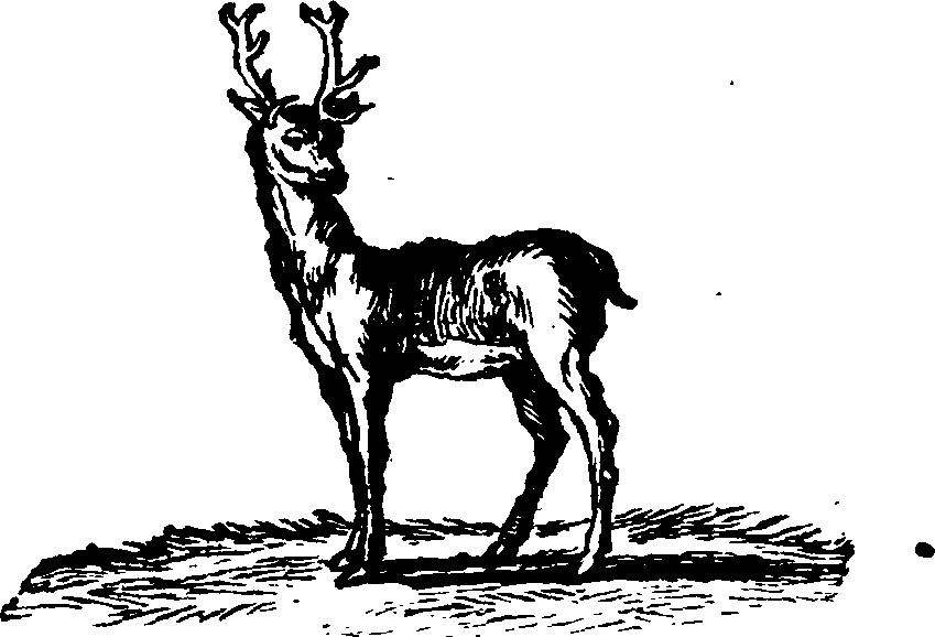 021/021910070100780_0.png