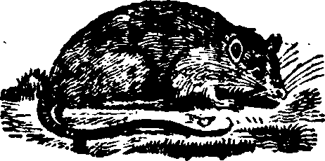 021/021910070100820_0.png