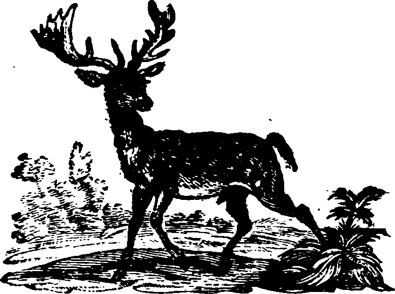 021/021910070100830_0.png