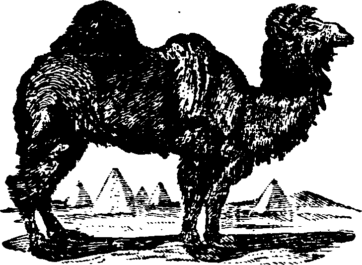 021/021910070100890_0.png